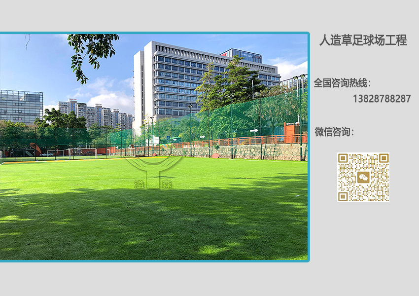 人造草足球場 人造草足球場