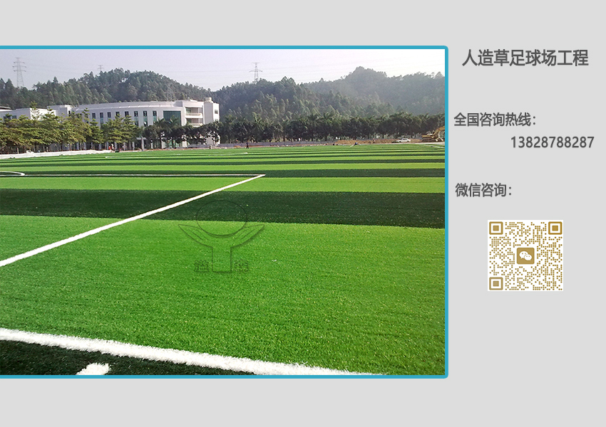 足球場(chǎng)人造草坪 足球場(chǎng)人造草坪